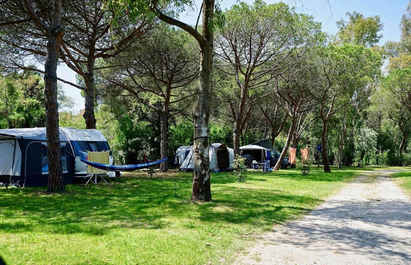 Camping Campo Dei Fiori Vada Luaran gambar